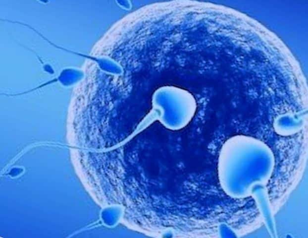 Prueba Casera De Fertilidad Masculina Cómo Saber Si Eres Fértil En Casa 5079