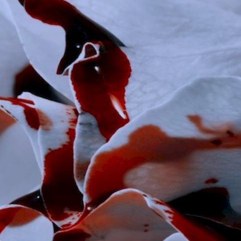 Eliminar manchas de sangre seca en la ropa: trucos sencillos y rápidos